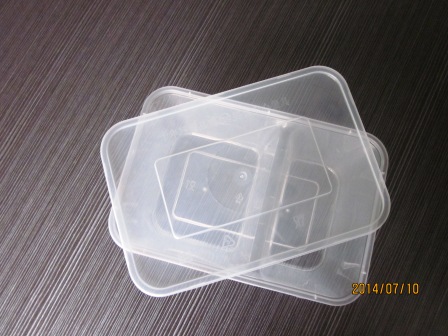 两格注塑盒
